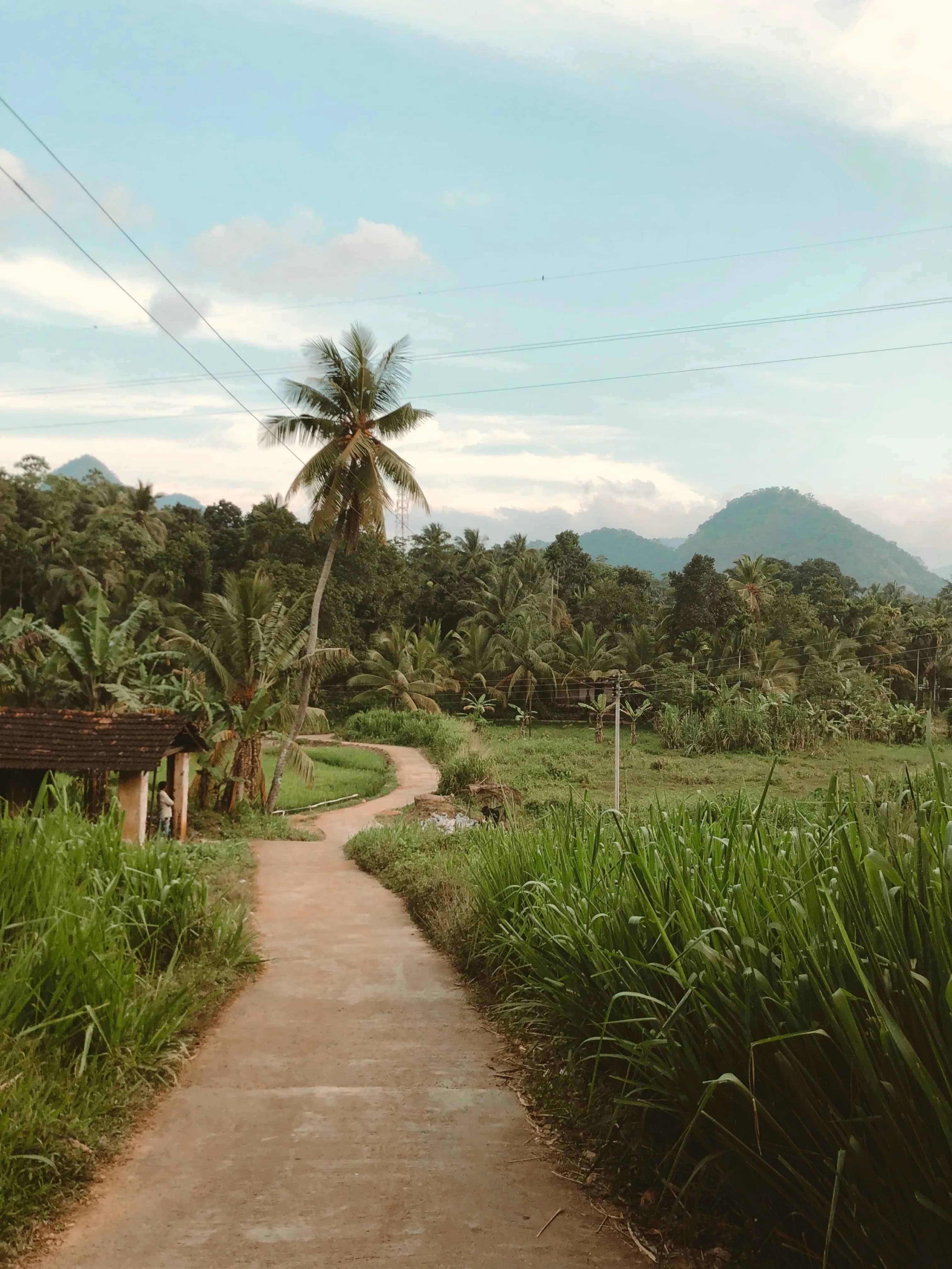 VILLAGE EXPERIENCES