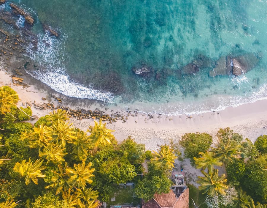 Sri Lanka beach tour destination with palm trees and tropical coastline