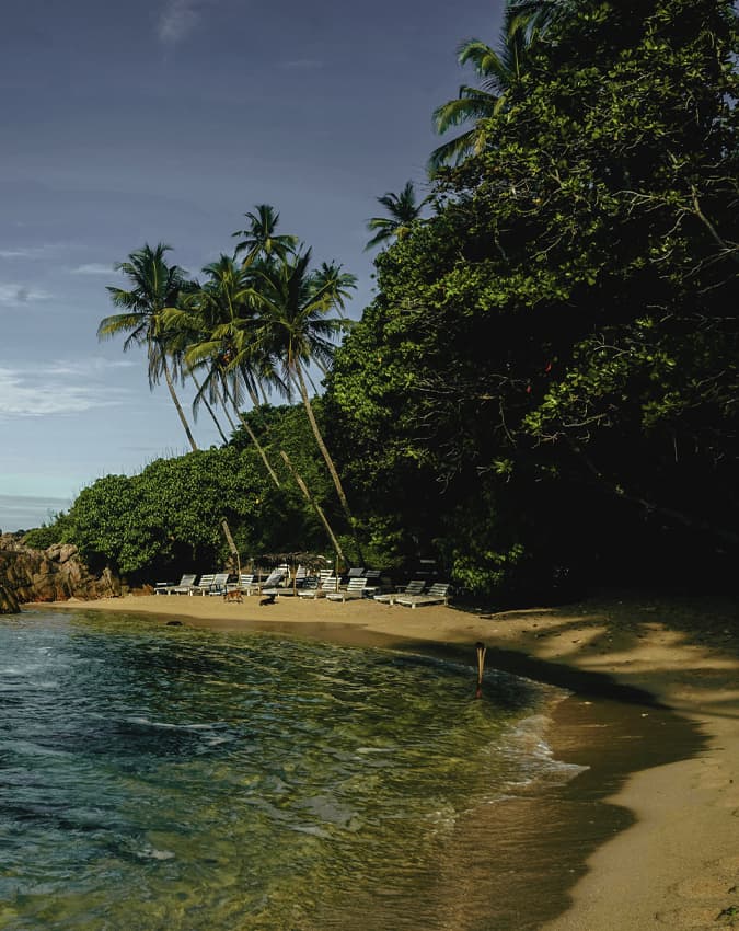 Sri Lankan Beach
