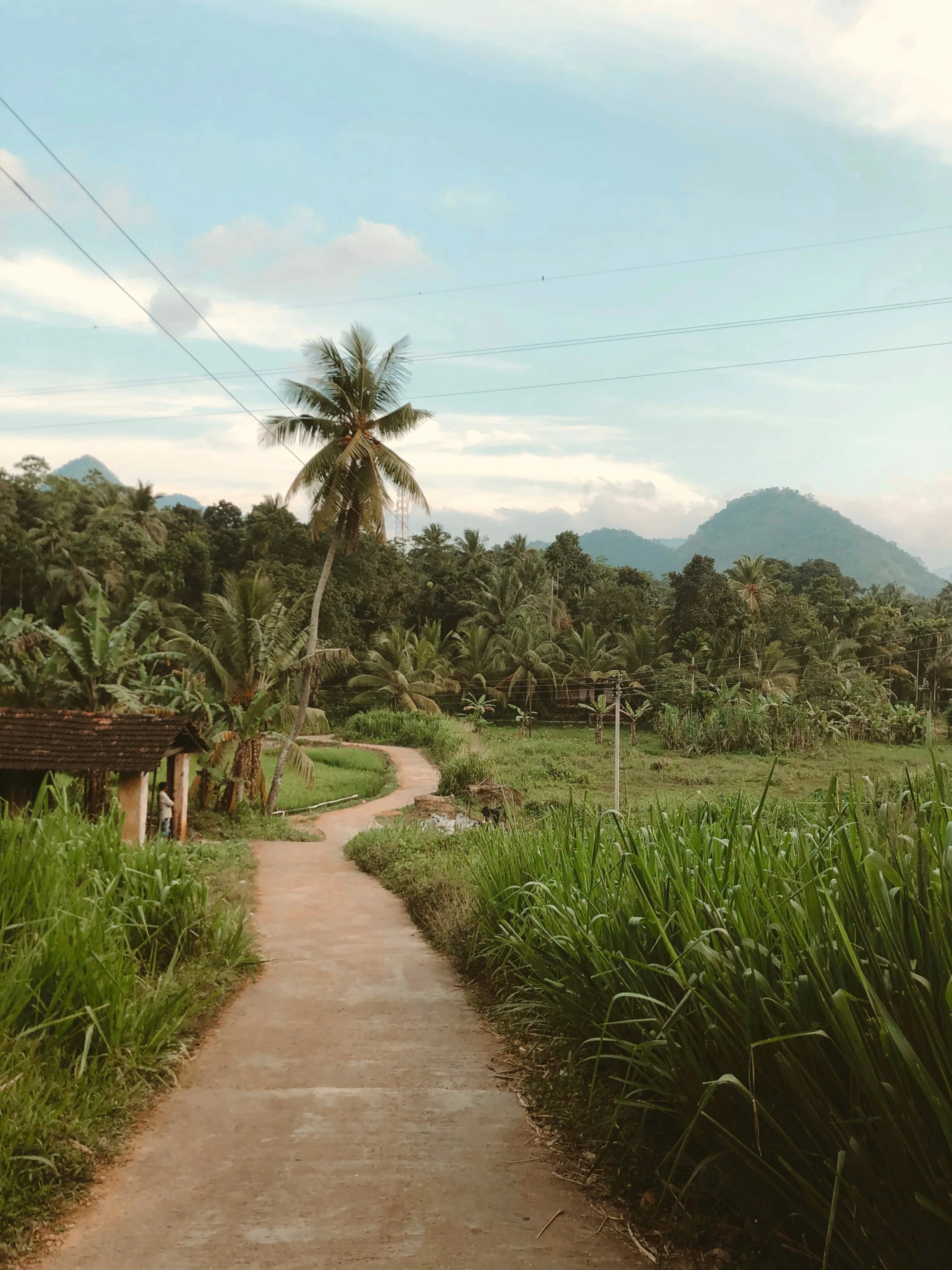 VILLAGE EXPERIENCES