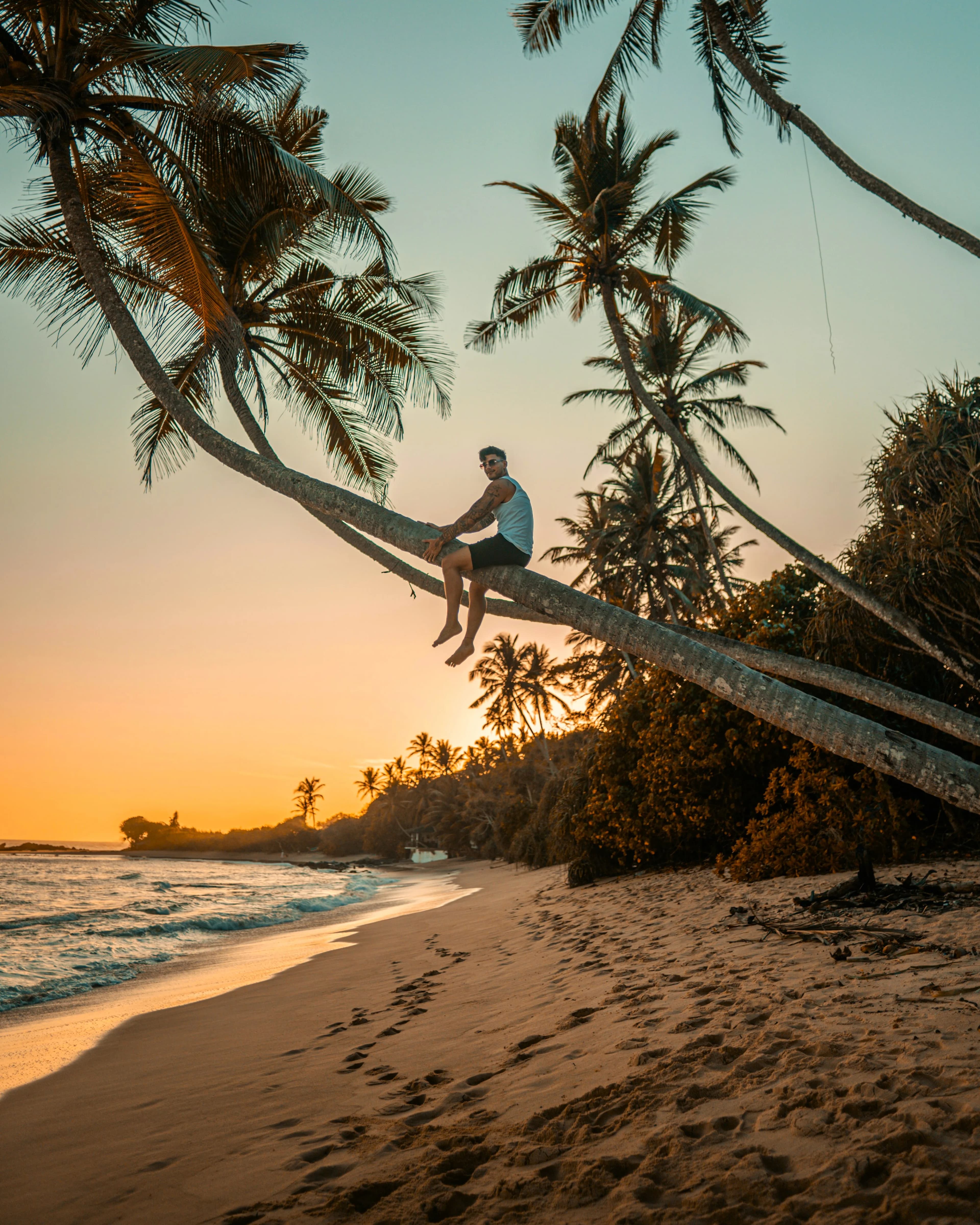 TROPICAL BEACHES