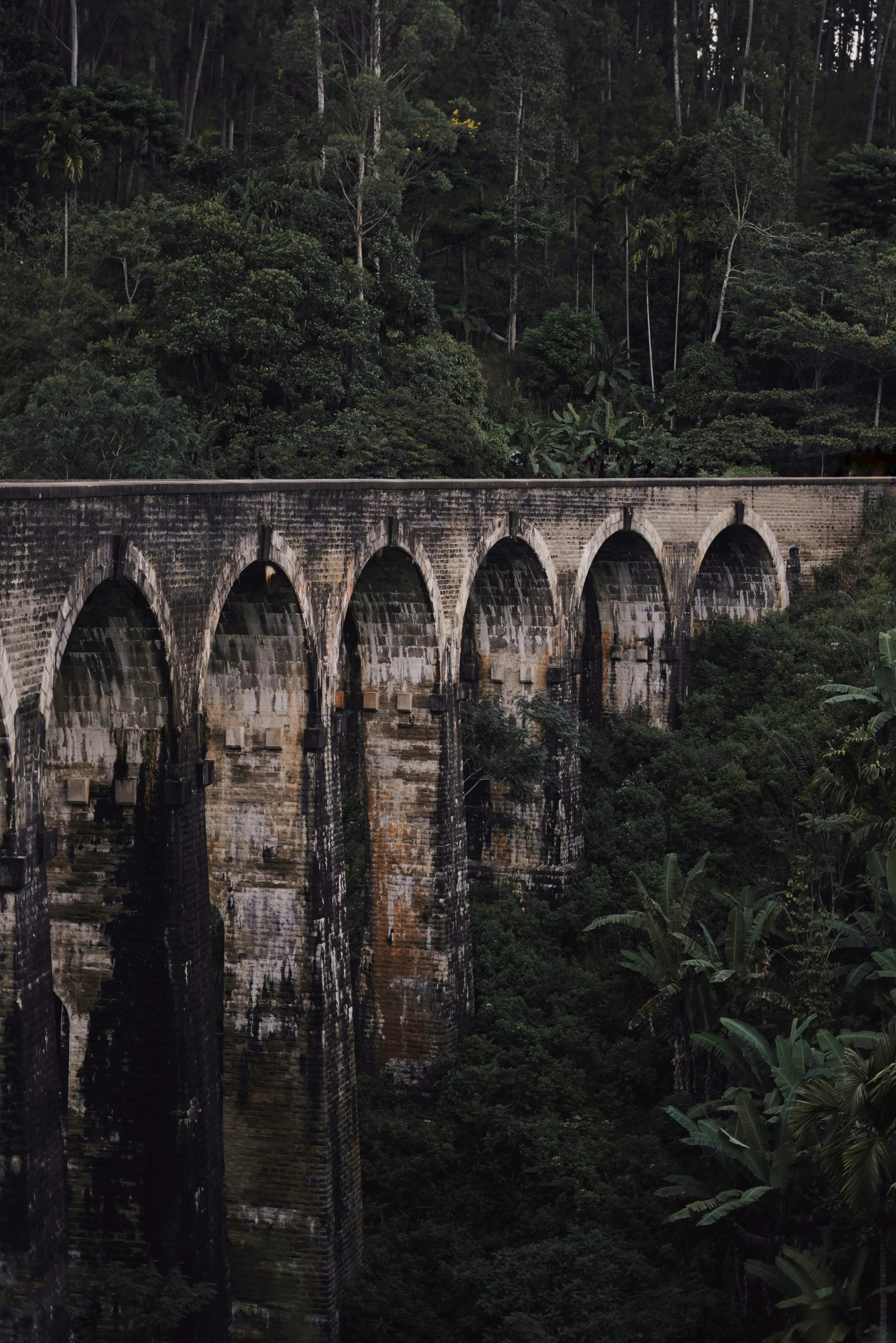 SCENIC VIEWPOINTS